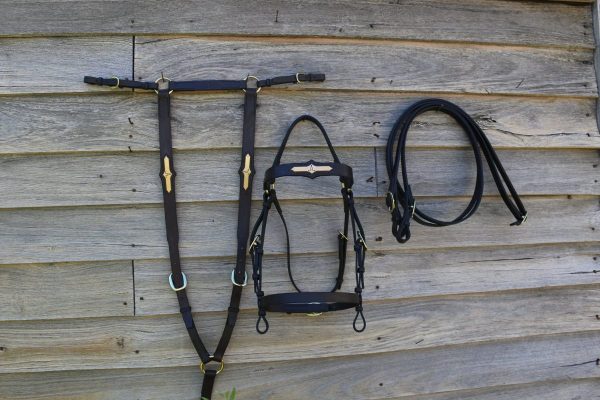 ASH Bridle and Breastplate - Image 9